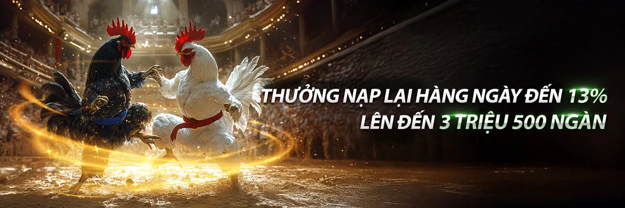 Đá Gà Thomo ngày 10 thắng 10 năm 2021